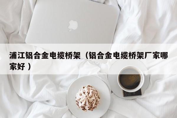 浦江鋁合金電纜橋架（鋁合金電纜橋架廠家哪家好 ）