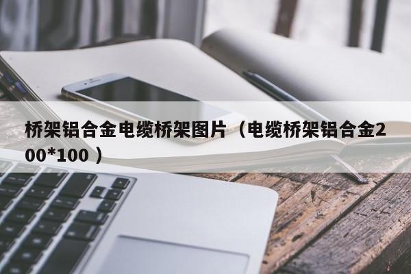 橋架鋁合金電纜橋架圖片（電纜橋架鋁合金200*100 ）